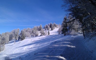 Pohod na Mrzlico