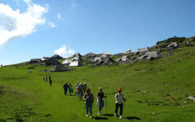 Pohod na Veliko planino
