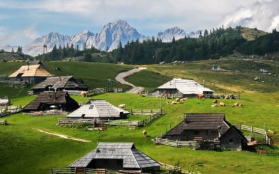 POHOD NA VELIKO PLANINO