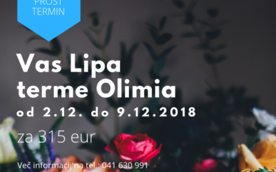 Prosti termin v društvenih apartmajih