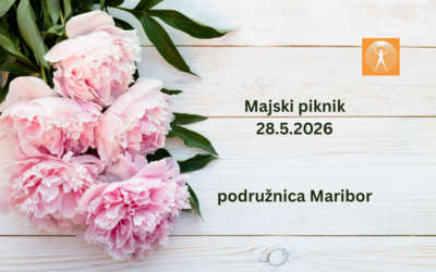Majski piknik