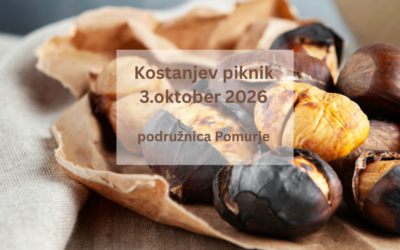 Kostanjev piknik